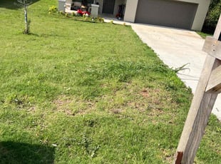 Leaf Removal by Desiree Hunt for Danielle H. in Weatherford, TX