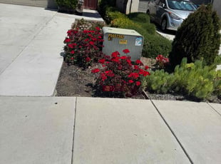 Cleanups by John Paul for Jarvis J. in Menifee, CA