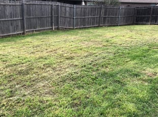 Cleanups by Sergio Becerra for Jeremy L. in Forney, TX