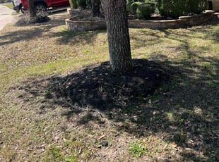 Leaf Removal by Paul Jones for Joong Seop M. in Katy, TX