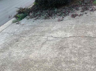 Bush Trimming by Jaime Caraballo for Ifuero O. in Lawrenceville, GA