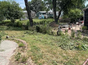 Cleanups by Joel Friedrich for Sandra B. in Independence, MO
