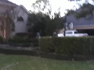 Bush Trimming by Ramon Flores for Jim S. in Friendswood, TX
