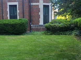Bush Trimming by Chris Stewart for Ray B. in Washington, DC