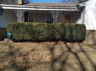 Bush Trimming by Julio Almestica for Elizabeth C. in Kansas City, MO