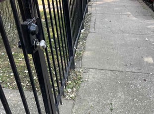 Cleanups by Takesha Johnson for Clement B. in Chicago, IL
