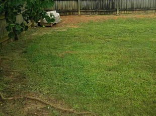 Cleanups by Tracy Delrow for Mark H. in Mobile, AL