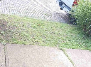 Cleanups by Robert Pittman for Whit V. in Columbus, OH