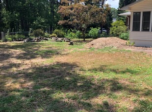 Bush Trimming by Jorge Diaz for Stephen H. in Stanley, NC