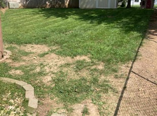 Cleanups by Joe Strese for Audrea W. in Omaha, NE