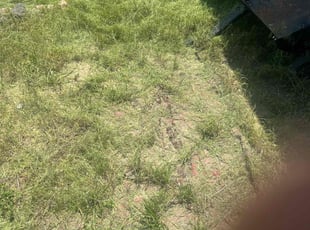 Cleanups by Donta Palmer for Brian P. in Monument, CO