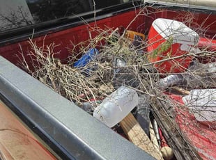 Bush Trimming by Johann Fredericks for Chris R. in San Antonio, TX