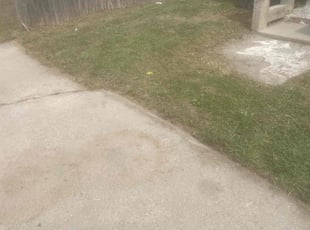 James F.'s Lawn Maintenance service result