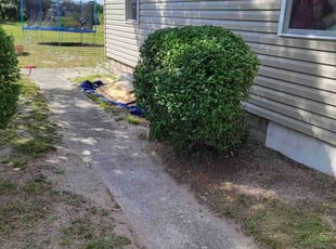 Bush Trimming by Ebone Alsup for Howard H. in Seaford, DE