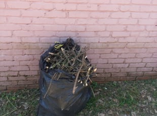 Cleanups by john snead for David A. in Greenville, SC