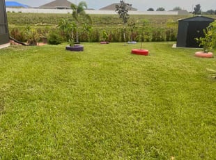 Brenda F.'s Lawn Mowing Service service result