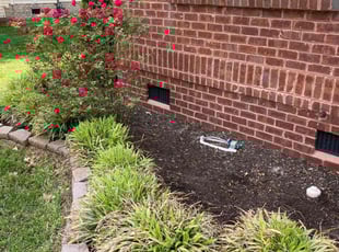 Weeding by Willie Mullins for Amber G. in Chesapeake, VA