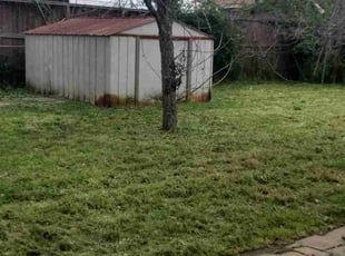 Cleanups by Kimberly Gonzales-Franco for Brandon D. in Houston, TX