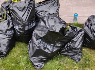 Cleanups by Charles Fubler for Siva P. in Aurora, CO