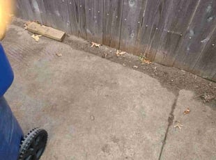 Leaf Removal by Breanna Cooper for Jessica S. in Wichita, KS