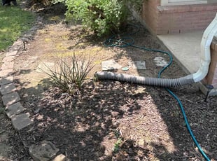 Weeding by Brian Sky for Jorge C. in San Antonio, TX