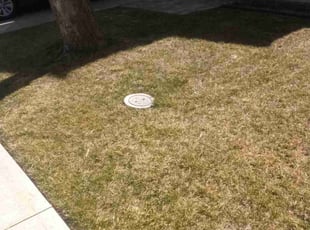 Cleanups by Jason Dunlavy for Justin B. in Tracy, CA