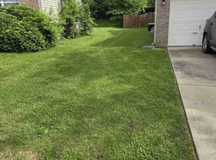 Jacob S.'s Lawn Mowing service result