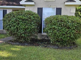 Bush Trimming by Jason Hughes for Ryan M. in Pooler, GA