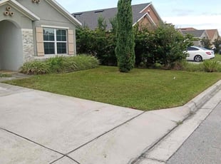 Linda G.'s Lawn Care service result