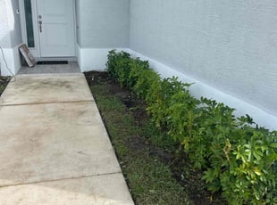 Bush Trimming by Elder Javier for Jonathan P. in Port St. Lucie, FL