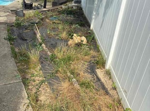 Cleanups by Amanda Carter for Eric N. in Clayton, NC
