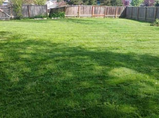 Randy W.'s Lawn Mowing Service service result