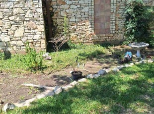 Weeding by Derek Schoenfeld for Mimi S. in San Antonio, TX