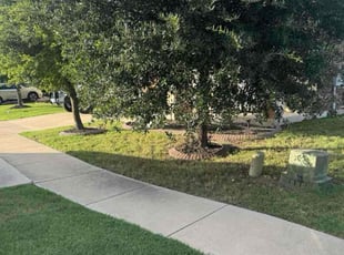 Bush Trimming by Leonardo Flores for Dylan W. in Leander, TX
