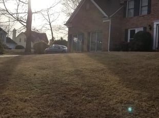 Cleanups by Steve Burgess for Linda S. in Decatur, GA