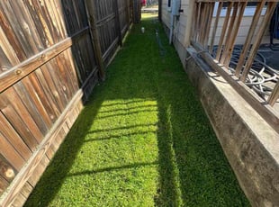 Samantha J.'s Grass Cutting service result