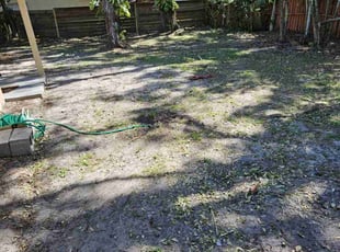 Cleanups by Balderas lawn care LLC for Kristen F. in Maitland, FL