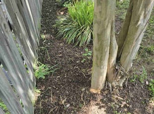 Cleanups by Kea J for Velencia H. in High Point, NC