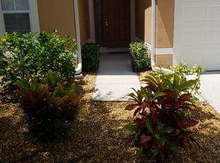 Bush Trimming by Jose Taveras for Steven S. in West Melbourne, FL