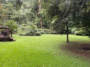 Michael F.'s Lawn Service service result