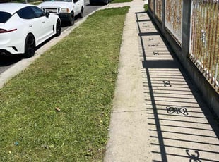 Vanessa P.'s Yard Cutting service result