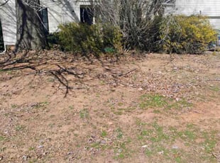 Leaf Removal by Jose Ordonez for Isiah B. in Charlotte, NC