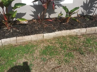 Landscaping by Robert Adams for Ian E. in Melbourne, FL
