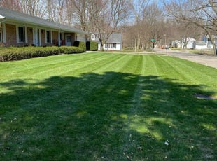 Michelle T.'s Lawn Service service result