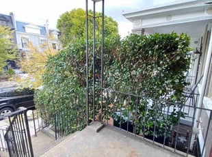 Bush Trimming by Amber Fuentes for Lawrence S. in Washington, D.C., DC