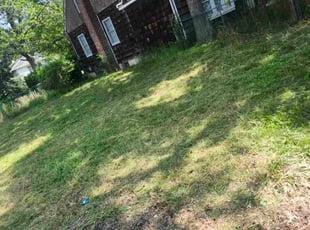 Bush Trimming by Cody Beers for Brent S. in Edison, NJ