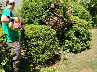 Bush Trimming by Chris Towery for Cassandra J. in Loganville, GA