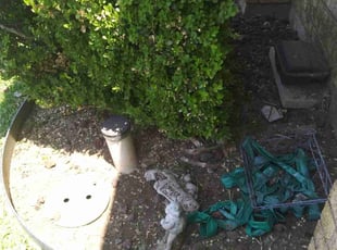 Weeding by Gralin Johnson for LawnLove 1. in Arlington,, TX