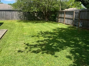 Elizabeth E.'s Lawn Mowing service result