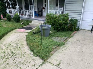 Weeding by Steven Baker for Kenya W. in Indianapolis, IN